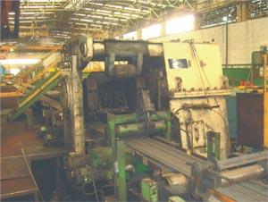 1553913141961459.jpg 1.jpg